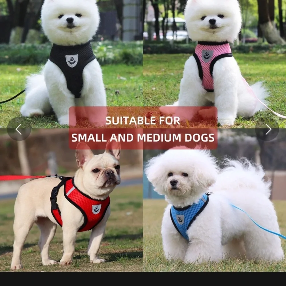 NWT Comfort Dog Harness Leash Bundle Set - Picture 6 of 6